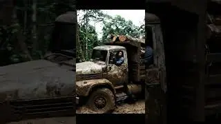 Logging Truck Gets Stuck in Deep Mud!