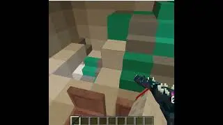 warden gun