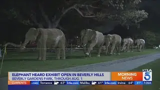 Yearlong Great Elephant Migration ends in Beverly Hills