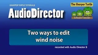 AudioDirector - Two ways to edit wind noise