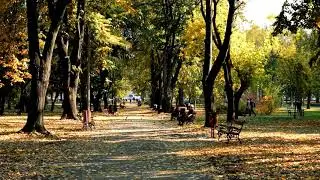 City Park Ambience  | Relax & Calm Your Soul