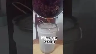 Honey Harvesting and Processing #beewhisperer #shortshorts #shortvideo#beekeeper #stinglessbee #tips