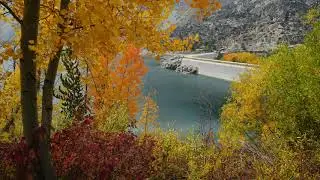 Bishop Creek CA, Eastern Sierra, Fall Colors 2020