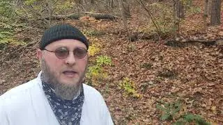 Beware of the Sacred Name Movement!