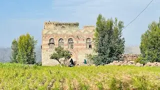 يا حي يا قيوم (اب -السده -بيت يحيى عباد )