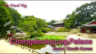 Grand Palace in Downtown Seoul | Changdeokgung Palace Tour