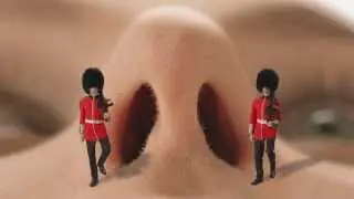 Nasalguard Palace Guards