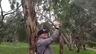 Myponga Reservoir Walk