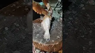 Descaling a Croaker Fish in 9 SECONDS! 🐟⚡#shorts #fish #asmr #seafood #fishcutting