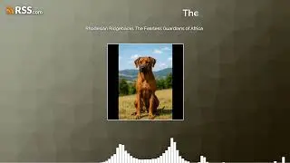 Rhodesian Ridgebacks The Fearless Guardians of Africa
