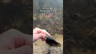 Fisherman from each state??? #fish #fishing #bassfishing #fishingpole #bluegill #bass #pike #angler