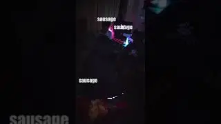 Sausage Song || INDIA