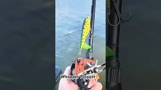 Best Lures For Fall Bass Fishing🎣💪