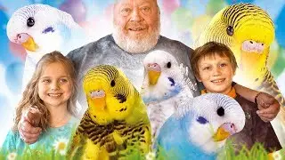 Kinder fragen Norbert I WELLENSITTICHE I NORBERTS WELT | Zoo Zajac