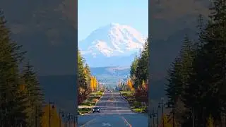 Mount Rainier 🏔️ #shorts #mytubephotography #mountains #shortvideo #nature #colors #naturedrive
