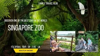 Singapore Zoo: One of the Best! #ytvideo #mandaiwildlifereserve #traveladventure #familyvlog #zoo