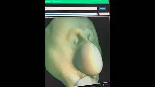 Surface Refinement | Expressive Mesh Sculpt Pass