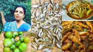 আজ কাঁচা টমেটো দিয়ে পুকুরের মৌরালা মাছের টক ঝাল রেসিপি ছোট মাছ আমাদের শরীরের জন্য খুবই ভালো #✅🍅🍅