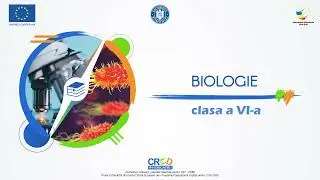 Sistemul digestiv și digestia la om - Digestia Alimentelor