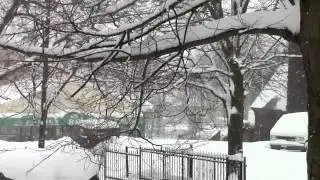 Winter Storm Saturn!