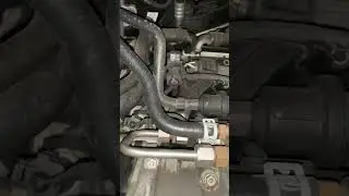 1.2 TSI engine sound Timing chain noise?