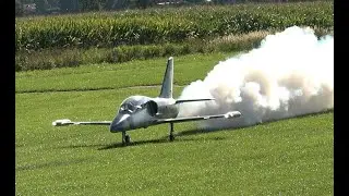 L39 Albatros - a very popular RC Jet