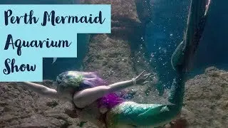 The Perth Mermaids at the Aquarium of Western Australia