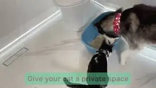 DOORWING avoid door damage with this easy to install baby proofing door lock