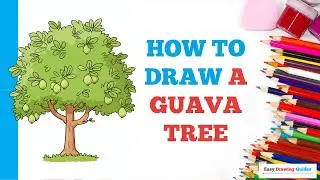 How to Draw a Guava Tree: Easy Step by Step Drawing Tutorial for Beginners