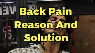 The Best Solutions For Back Pain (and Gym Progress)