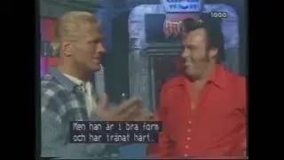 Rare Honky Tonk Man interview (1994)