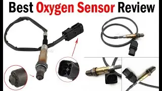 Best Oxygen Sensor Review 2022