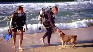 Be Adventurous. Be Amazed. Be A Diver. www.BeADiver.com