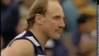 AFL Round 19, 1993 - Geelong vs Hawthorn - (Kardinia Park)