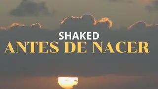 Antes de Nacer (Video Lyric) - Shaked