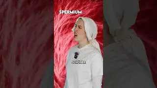 Wie alle Menschen entstanden sind