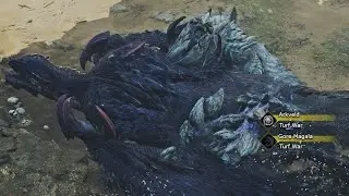 New Arkveld Vs Gore Magala Turf War - Monster Hunter Wilds