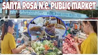 SANTA ROSA NUEVA ECIJA PUBLIC MARKET #nuevaecija #market #publicmarket