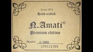 Гитара Amati Z-39 bk - Молодая ( Е. Амирамов )