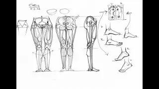 Human drawing Class 4 | Body proportions | Figurative drawing classes
