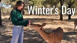 Day in the life of a game ranger's daughter! Buffalo in the garden, havoc-wreaking baboon, leopard..
