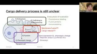 Experimental tools to investigate EV cargo transfer & intercellular communication by Masaharu Somiya