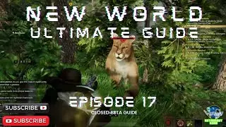 Ultimate Guide to Amazon's New World Episode 17:  Crypto, Ethereum, Eth 2.0, Federal Reserve, Money.