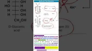 lab chemistry / barfoed's test