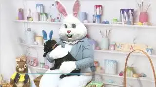Easter Bunny makes surprise visit to rescue dogs!