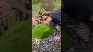 Woman licks a rock that's covered with Australian moss just to see the effects it will hav