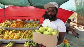 Intro to the breadbasket of the Western Cape - The Breede Valley - Documentary Trailer.