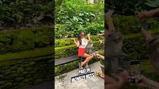 Selfie with a monkey? What could go wrong? #monkey #selfie #monkeyforest #asia #bali #ohno #funny
