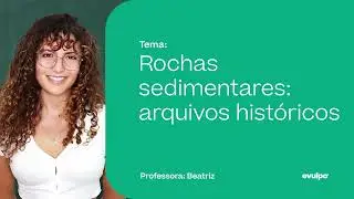 Rochas sedimentares e sequências estratigráficas