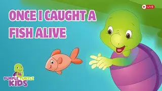 🔴 PurpleTurtle Kids LIVE! Best Kids Songs 2025 + MORE Nursery Rhymes!